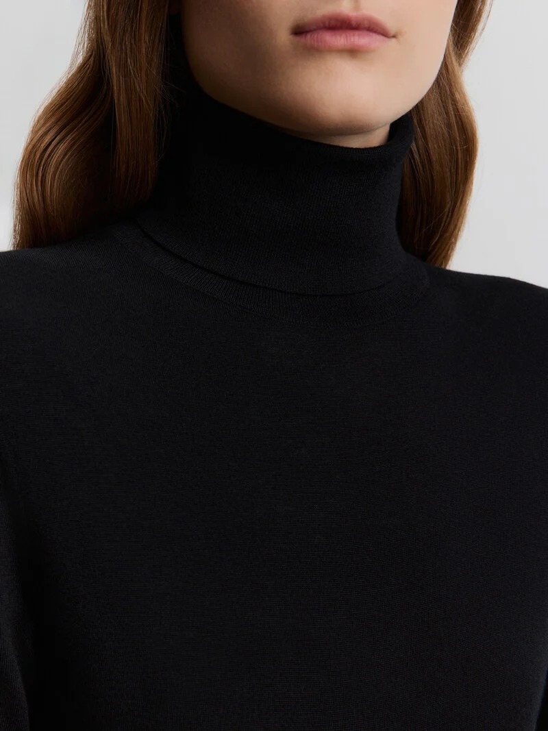 Merino  turtleneck dress - Image 4